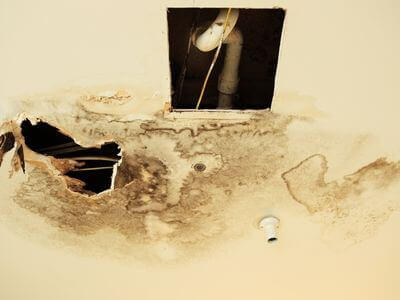 Professional emergency water damage services services in Chandler